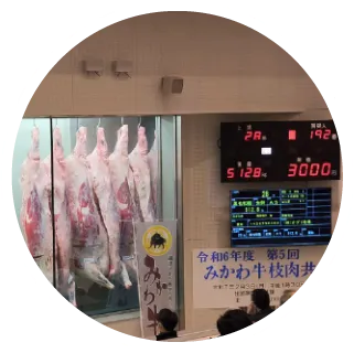 食肉市場